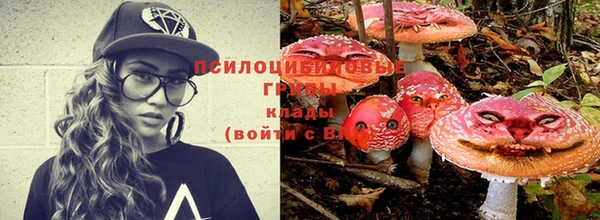 МДМА Алексеевка